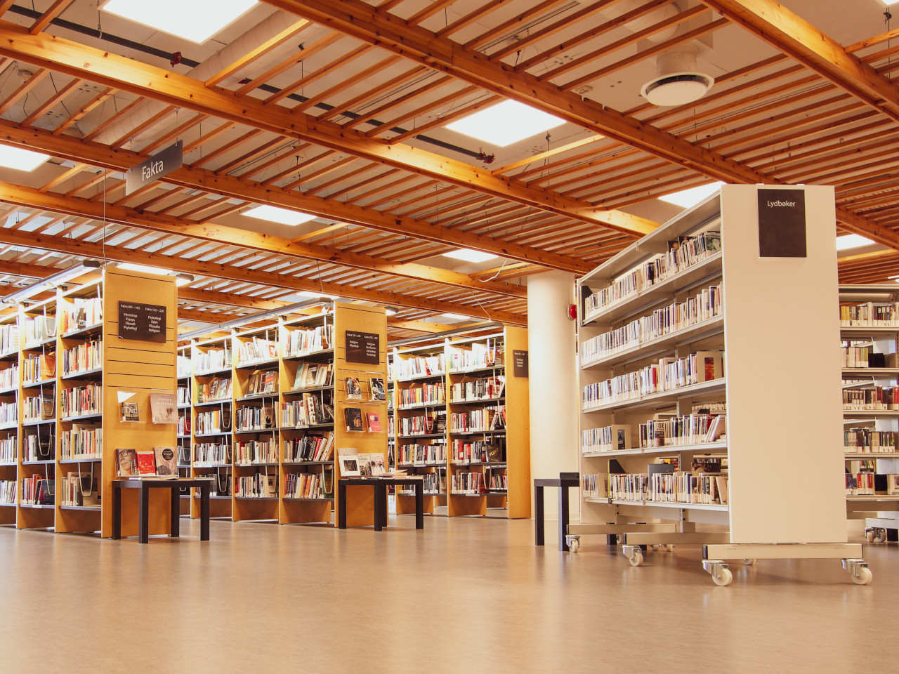 Bookshelves in library.